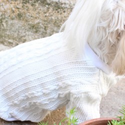 Beyaz Köpek Kazak