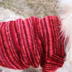 KIRMIZI Köpek Kazak